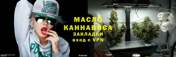 прущие грибы Рославль