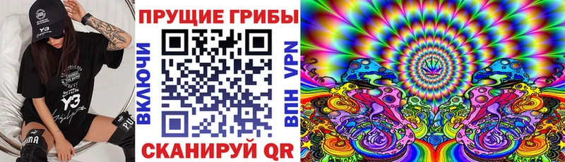 Галлюциногенные грибы Psilocybe где купить наркотик Макаров